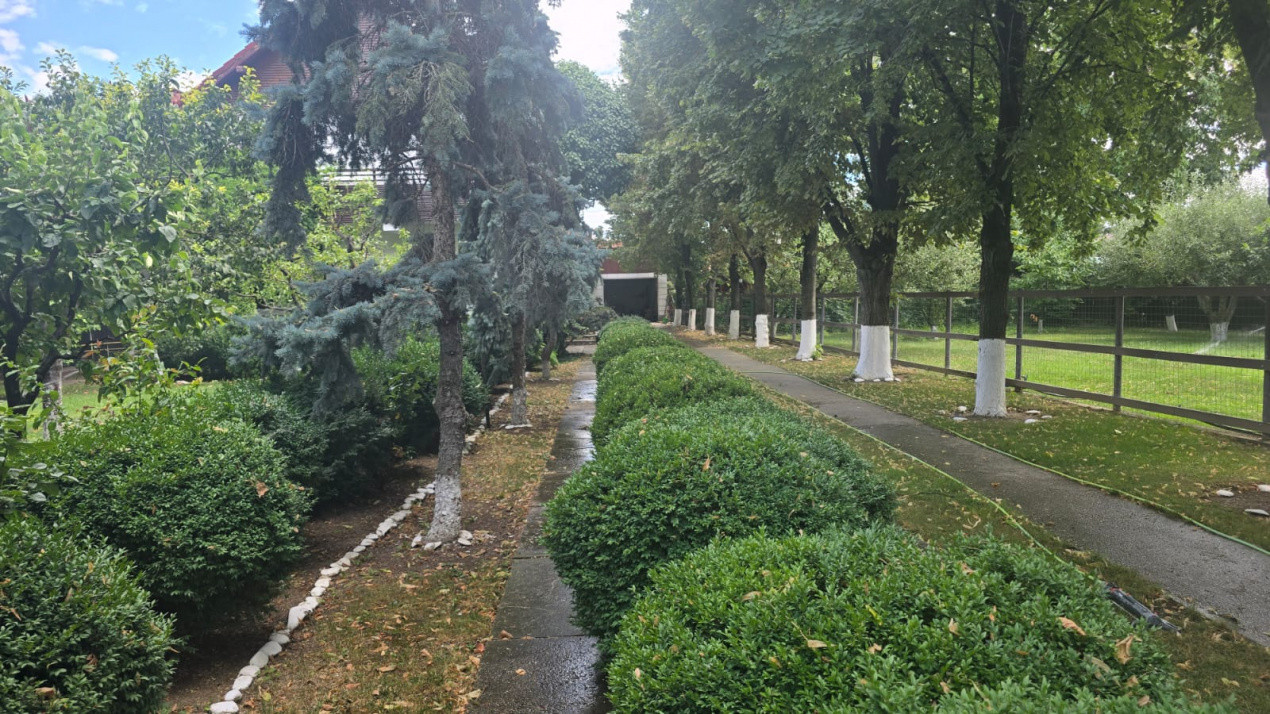 Vanzare Casa S+P+1, Snagov - Ghermanesti