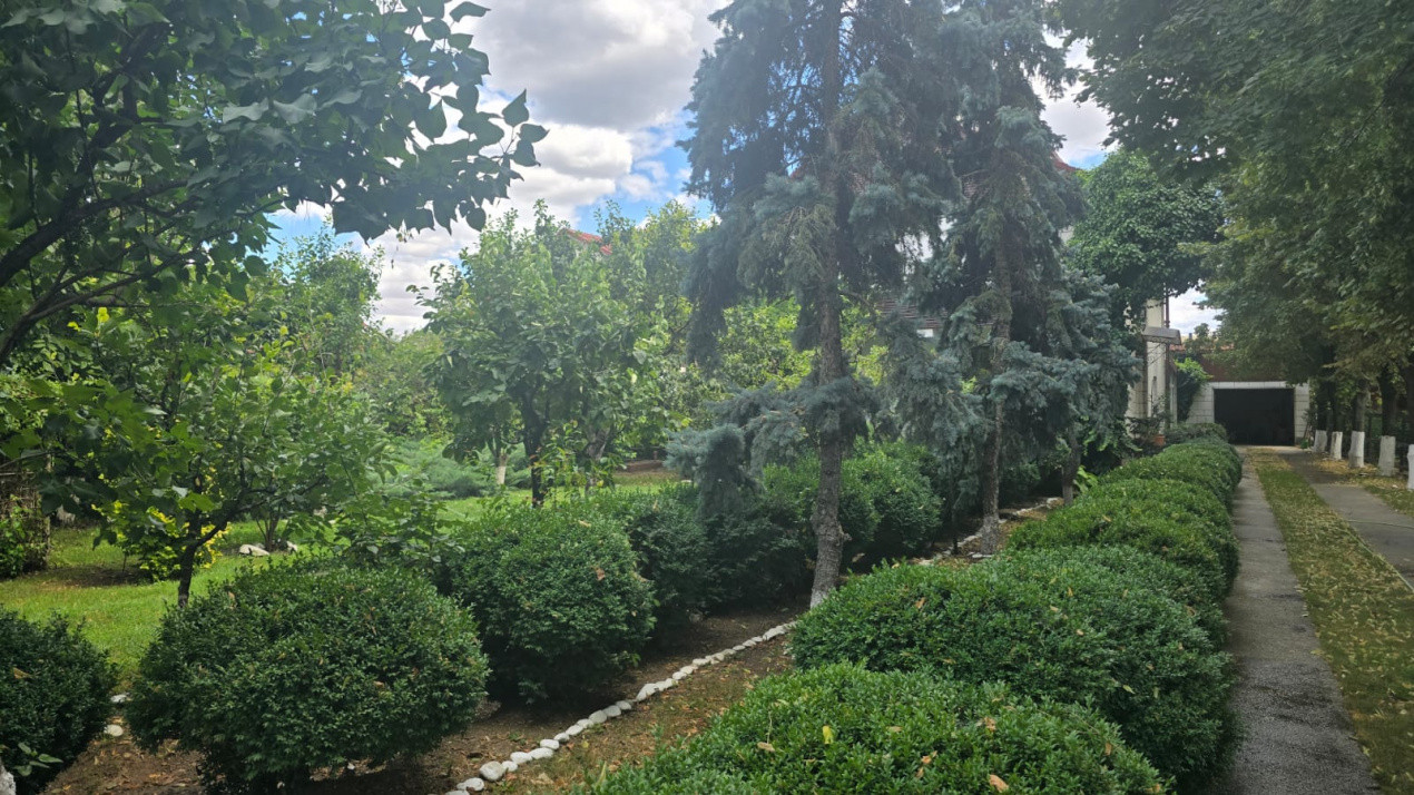Vanzare Casa S+P+1, Snagov - Ghermanesti