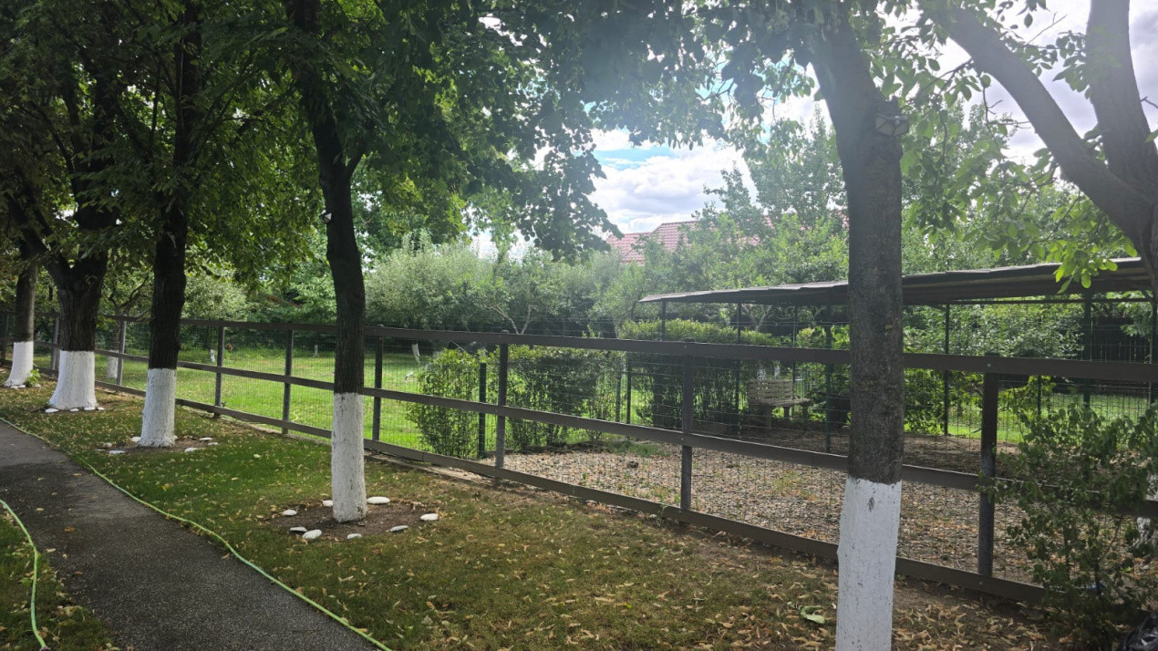 Vanzare Casa S+P+1, Snagov - Ghermanesti
