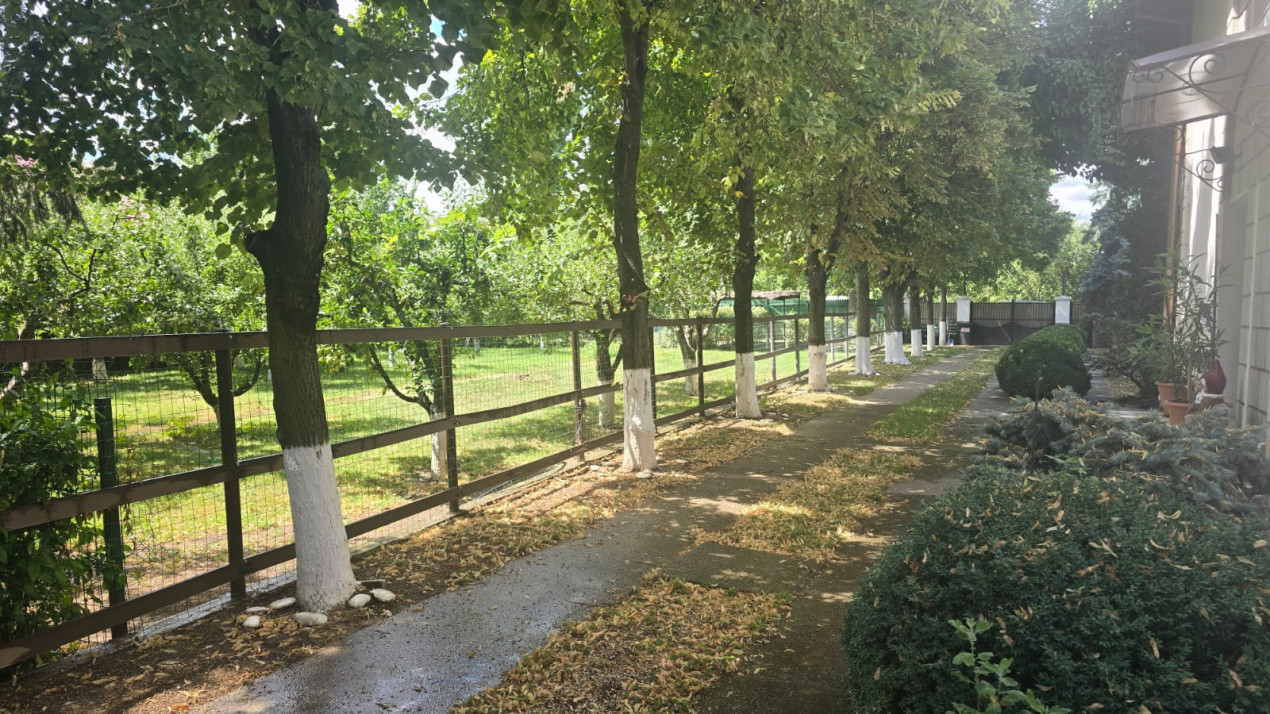 Vanzare Casa S+P+1, Snagov - Ghermanesti