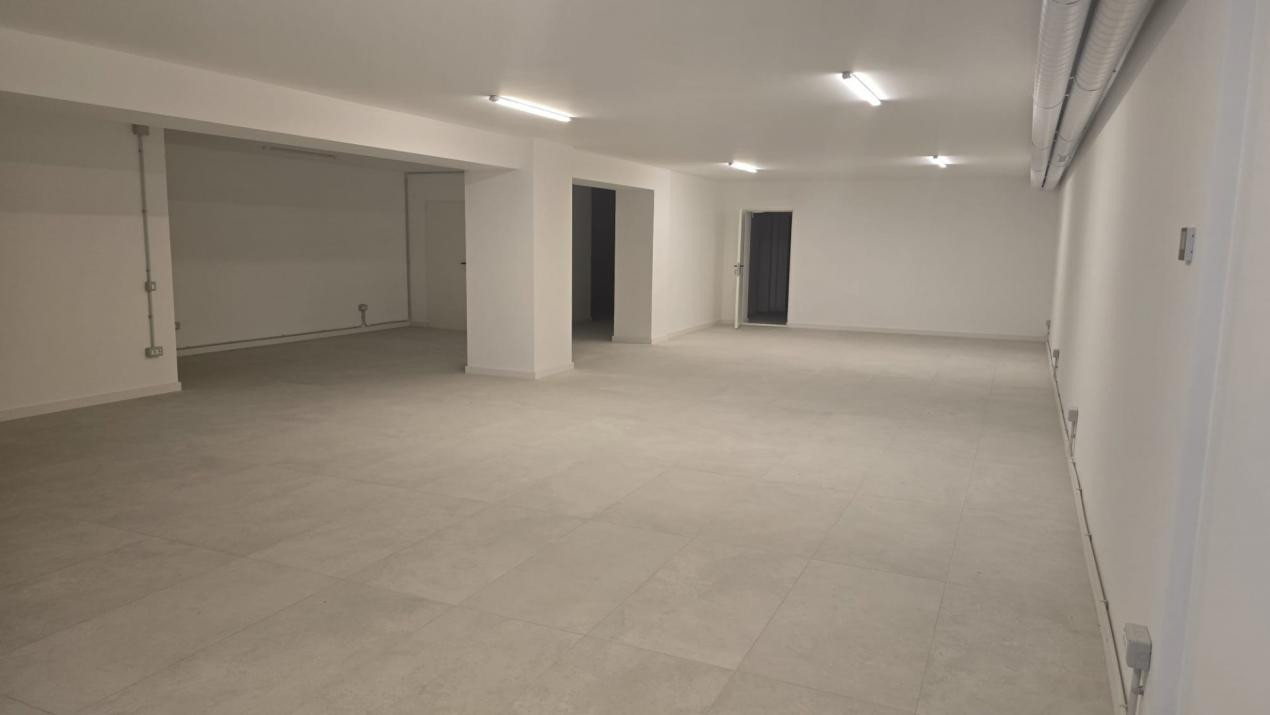 Vanzare spatiu activitati comerciale - subsol - Bd. Ferdinand